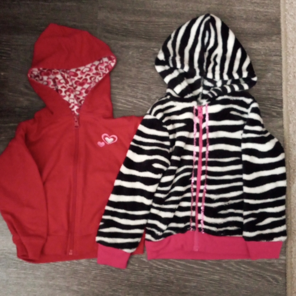 Toddler girl hooded sweatshirts lot of 2